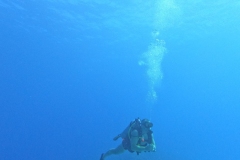 Photo: William - 242DIVE.com