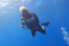 Photo: William - 242DIVE.com