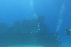 Photo: William - 242DIVE.com
