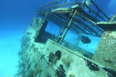 Photo: William - 242DIVE.com