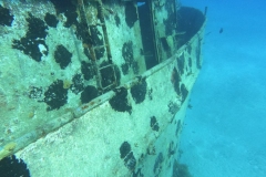 Photo: William - 242DIVE.com