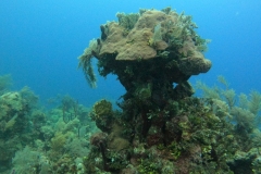 DCIM\100GOPRO\GOPR5011.JPG