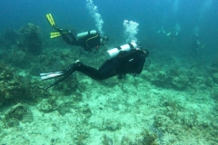 DCIM\100GOPRO\GOPR5010.JPG