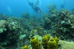 DCIM\100GOPRO\GOPR5006.JPG