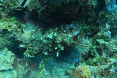 DCIM\100GOPRO\GOPR4973.JPG