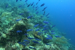 DCIM\100GOPRO\GOPR4938.JPG