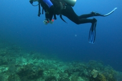 DCIM\100GOPRO\GOPR5079.JPG