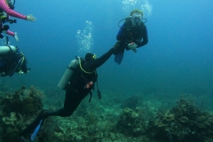 DCIM\100GOPRO\GOPR5078.JPG