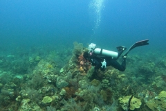 DCIM\100GOPRO\GOPR5049.JPG