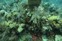 DCIM\100GOPRO\GOPR5020.JPG