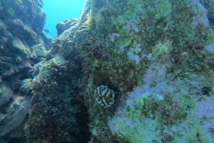 DCIM\100GOPRO\GOPR5282.JPG