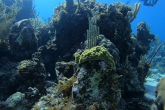 DCIM\100GOPRO\GOPR5281.JPG