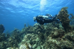 DCIM\100GOPRO\GOPR5274.JPG