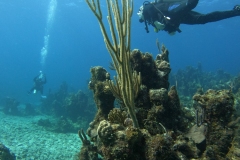 DCIM\100GOPRO\GOPR5269.JPG