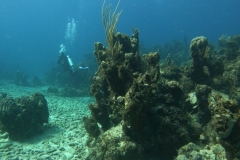 DCIM\100GOPRO\GOPR5267.JPG