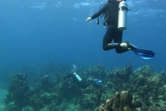 DCIM\100GOPRO\GOPR5266.JPG