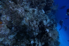 DCIM\100GOPRO\G0035233.JPG