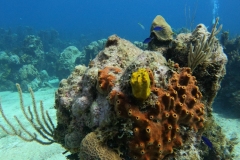 DCIM\100GOPRO\GOPR5318.JPG