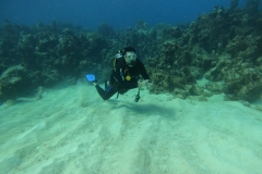 DCIM\100GOPRO\GOPR5142.JPG
