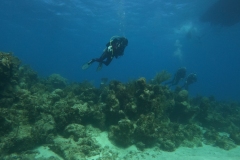 DCIM\100GOPRO\GOPR5141.JPG
