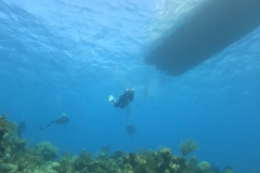 DCIM\100GOPRO\GOPR5140.JPG