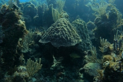 DCIM\100GOPRO\GOPR5313.JPG
