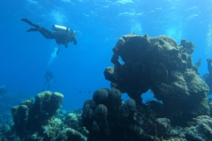 DCIM\100GOPRO\GOPR5311.JPG