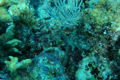 DCIM\100GOPRO\GOPR5309.JPG