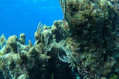 DCIM\100GOPRO\GOPR5297.JPG