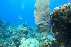 DCIM\100GOPRO\GOPR5296.JPG