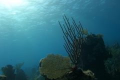 DCIM\100GOPRO\GOPR5319.JPG