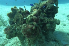 DCIM\100GOPRO\GOPR1748.JPG