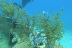 DCIM\100GOPRO\GOPR1743.JPG