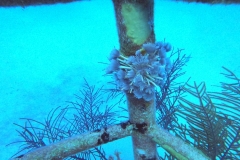 DCIM\100GOPRO\GOPR1735.JPG