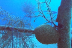 DCIM\100GOPRO\GOPR1734.JPG