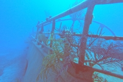 DCIM\100GOPRO\GOPR1732.JPG