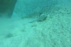 DCIM\100GOPRO\GOPR1784.JPG
