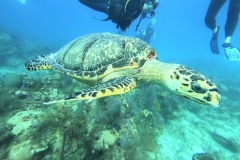 DCIM\100GOPRO\GOPR1775.JPG