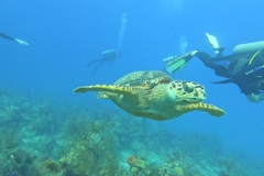 DCIM\100GOPRO\GOPR1774.JPG