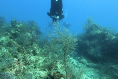 DCIM\100GOPRO\GOPR1771.JPG