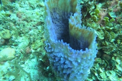 DCIM\100GOPRO\GOPR1770.JPG