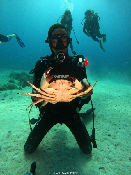 DCIM\100GOPRO\GOPR3166.JPG