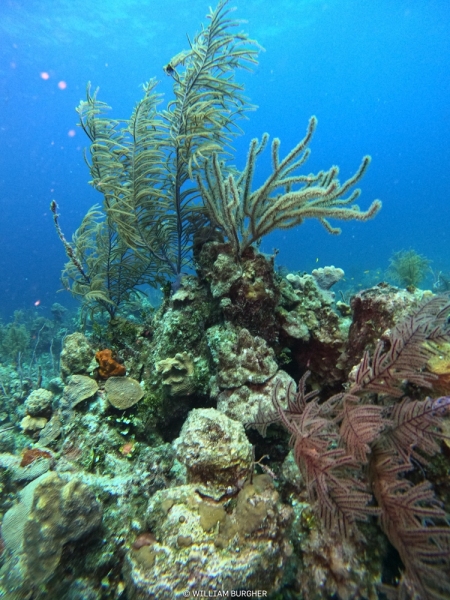 DCIM\100GOPRO\GOPR3162.JPG