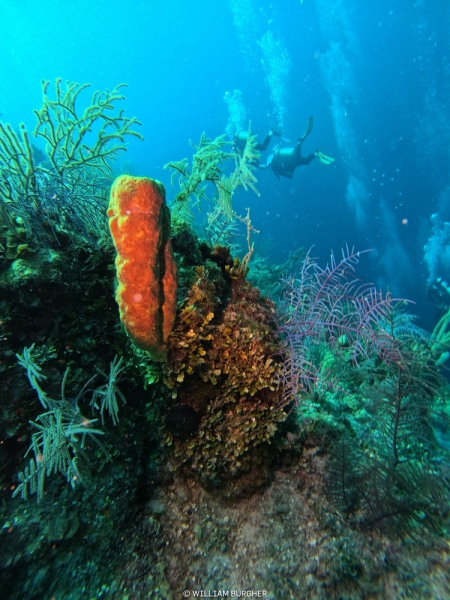 DCIM\100GOPRO\GOPR3149.JPG