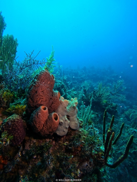 DCIM\100GOPRO\GOPR3148.JPG
