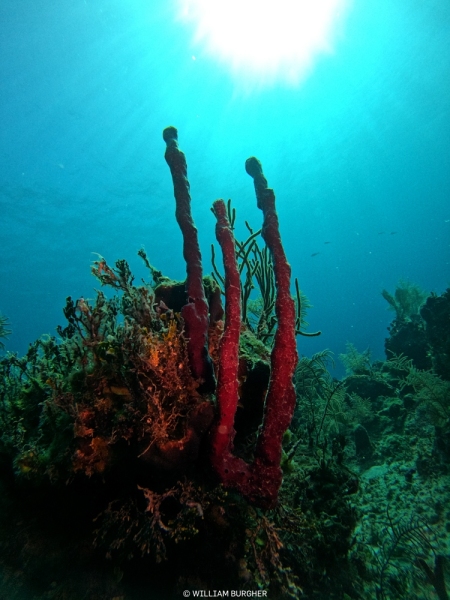 DCIM\100GOPRO\GOPR3146.JPG
