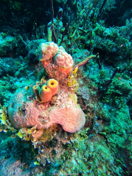 DCIM\100GOPRO\GOPR3144.JPG