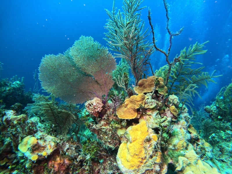 DCIM\100GOPRO\GOPR3140.JPG