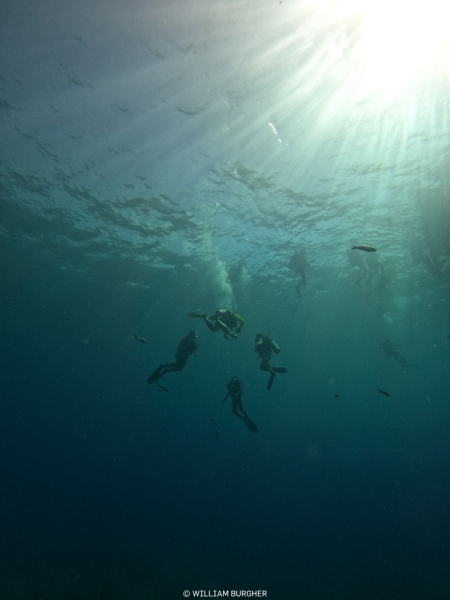 DCIM\100GOPRO\GOPR3181.JPG