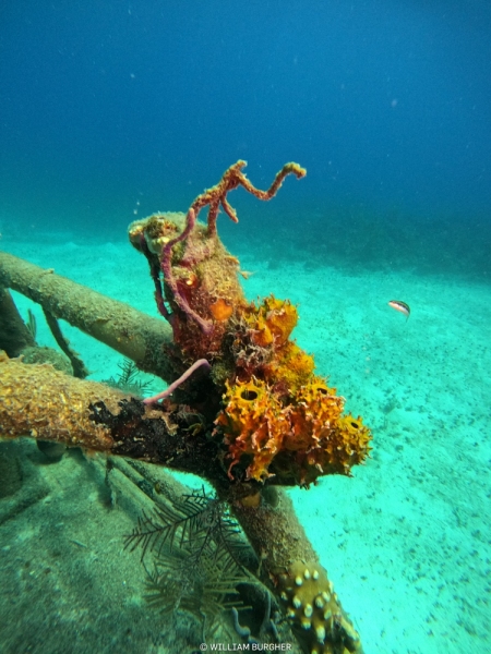 DCIM\100GOPRO\GOPR3180.JPG